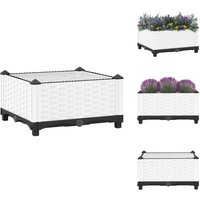 Hochbeet 40x40x23 cm Polypropylen - Hochbeet - Blumenerde - Gartenmöbel - Polypropylen - Weißer Hochbeet Hochbeet 40x40x23 cm Polypropylen - Hochbeet - Blumenerde - Gartenmöbel - Polypropylen - Weißer Hochbeet von VIDAXL