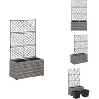 Hochbeet mit Rankgitter 2 Töpfe 58×30×107cm Poly Rattan Grau - Hochbeet - Rankgitter - Polyrattan - Gartenmöbel - Outdoor Dekoration Hochbeet mit Rankgitter 2 Töpfe 58×30×107cm Poly Rattan Grau - Hochbeet - Rankgitter - Polyrattan - Gartenmöbel - Outdoor Dekoration von VIDAXL