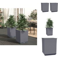 Pflanzkübel 2 Stk. Dunkelgrau 30x30x37 cm Polypropylen - Blumentopf - Gartendeko - Balkonpflanzen - Topf Aus Polypropylen - Dunkelgraue Farbe Pflanzkübel 2 Stk. Dunkelgrau 30x30x37 cm Polypropylen - Blumentopf - Gartendeko - Balkonpflanzen - Topf Aus Polypropylen - Dunkelgraue Farbe von VIDAXL