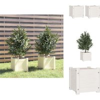 Pflanzkübel 2 Stk. Weiß 31x31x31 cm Massivholz Kiefer - Blumentopf - Holztöpfen - Kübeln - Blumenerde - Gartendeko Pflanzkübel 2 Stk. Weiß 31x31x31 cm Massivholz Kiefer - Blumentopf - Holztöpfen - Kübeln - Blumenerde - Gartendeko von VIDAXL