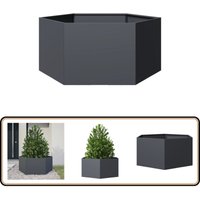 Vidaxl - Pflanzkübel Anthrazit Sechseckig 104x90x45 Stahl von VIDAXL