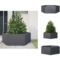 Pflanzkübel Anthrazit Sechseckig 138x120x45 Stahl - Pflanzkübel - Pflanzgefäß - Hochbeet - Blumenkasten von VIDAXL