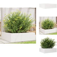 Pflanzkübel Weiß 80x80x23 cm Massivholz Kiefer - Holzpflanze - Hochbeet - Blumenvase - Kübeln - Gartendeko von VIDAXL