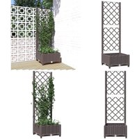 Pflanzkübel mit Rankgitter Braun 40x40x121,5 cm pp - Blumentopf - Kübel - Gartentöpfen - Rankgitter - Polypropylen Topf - Home & Living Pflanzkübel mit Rankgitter Braun 40x40x121,5 cm pp - Blumentopf - Kübel - Gartentöpfen - Rankgitter - Polypropylen Topf - Home & Living von VIDAXL