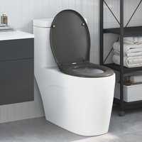 Vidaxl - Schnellverschluss-WC-Sitz Anthrazit 44,8 x 37,3 x 4,2 cm Vidaxl - Schnellverschluss-WC-Sitz Anthrazit 44,8 x 37,3 x 4,2 cm von VIDAXL