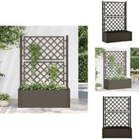 Vidaxl - Garten-Hochbeet mit Spalier und Selbstbewässerungssystem Mokka - Selbstbewässerndes Hochbeet - Gartengefäß - Spalierpflanze - Hochbeet Mit Vidaxl - Garten-Hochbeet mit Spalier und Selbstbewässerungssystem Mokka - Selbstbewässerndes Hochbeet - Gartengefäß - Spalierpflanze - Hochbeet Mit von VIDAXL
