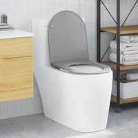 Vidaxl - Schnellverschluss-WC-Sitz Grau 44 x 36,4 x 3,4 cm Duroplast Vidaxl - Schnellverschluss-WC-Sitz Grau 44 x 36,4 x 3,4 cm Duroplast von VIDAXL