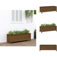 Vidaxl - Hochbeet Honigbraun 119,5x40x39 cm Massivholz Kiefer - Holz Hochbeet - Garten Hochbeet - Kiefernholz Hochbeet - Hochbeet Massiv - Blumenerde Vidaxl - Hochbeet Honigbraun 119,5x40x39 cm Massivholz Kiefer - Holz Hochbeet - Garten Hochbeet - Kiefernholz Hochbeet - Hochbeet Massiv - Blumenerde von VIDAXL