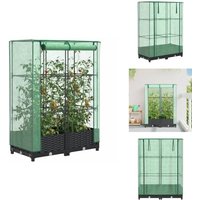 Hochbeet mit Gewächshaus-Aufsatz Rattan-Optik 80x40x123 cm - Hochbeet - Hochbeete - Garten Hochbeet - Pflanzbeet Hochbeet mit Gewächshaus-Aufsatz Rattan-Optik 80x40x123 cm - Hochbeet - Hochbeete - Garten Hochbeet - Pflanzbeet von VIDAXL
