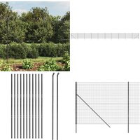 Vidaxl - Maschendrahtzaun Anthrazit 1,8x25 m Verzinkter Stahl - Maschendrahtzaun - Gartenzaun - Sicherheitszaun - Metallzaun - Anthrazit - Home & von VIDAXL