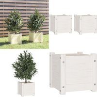 Pflanzkübel 2 Stk. Weiß 31x31x31 cm Massivholz Kiefer - Blumentopf - Holztöpfen - Kübeln - Blumenerde - Gartendeko - Home & Living Pflanzkübel 2 Stk. Weiß 31x31x31 cm Massivholz Kiefer - Blumentopf - Holztöpfen - Kübeln - Blumenerde - Gartendeko - Home & Living von VIDAXL