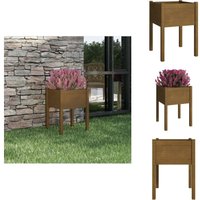 Pflanzkübel Honigbraun 50x50x70 cm Massivholz Kiefer - Holzpflanze - Hochbeet - Blumenerde - Gartendekoration - Gartenmöbel von VIDAXL