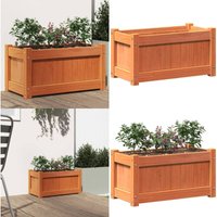 Pflanzkübel Wachsbraun 60x31x31 cm Massivholz Kiefer - Holzpflanze - Holzkübel - Blumenerde - Gartendeko - Balkonpflanzen - Home & Living von VIDAXL