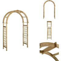 Vidaxl - Rosenbögen, Gitter & Pergolen - Living Gartenbogen Grün Kiefernholz Imprägniert - Braun von VIDAXL