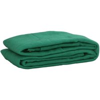 vidaXL Anhängernetz Grün 2x3 m HDPE von VIDAXL