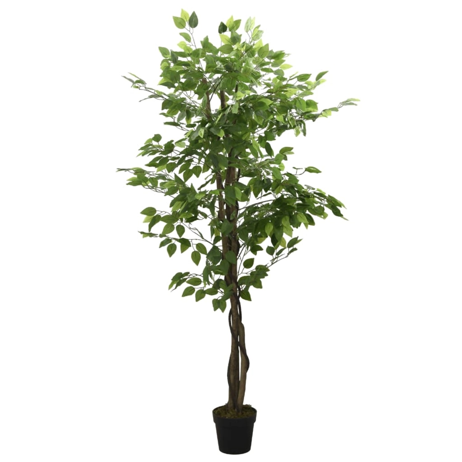 vidaXL Ficusbaum Künstlich 1008 Blätter 180 cm Grün vidaXL Ficusbaum Künstlich 1008 Blätter 180 cm Grün von VIDAXL