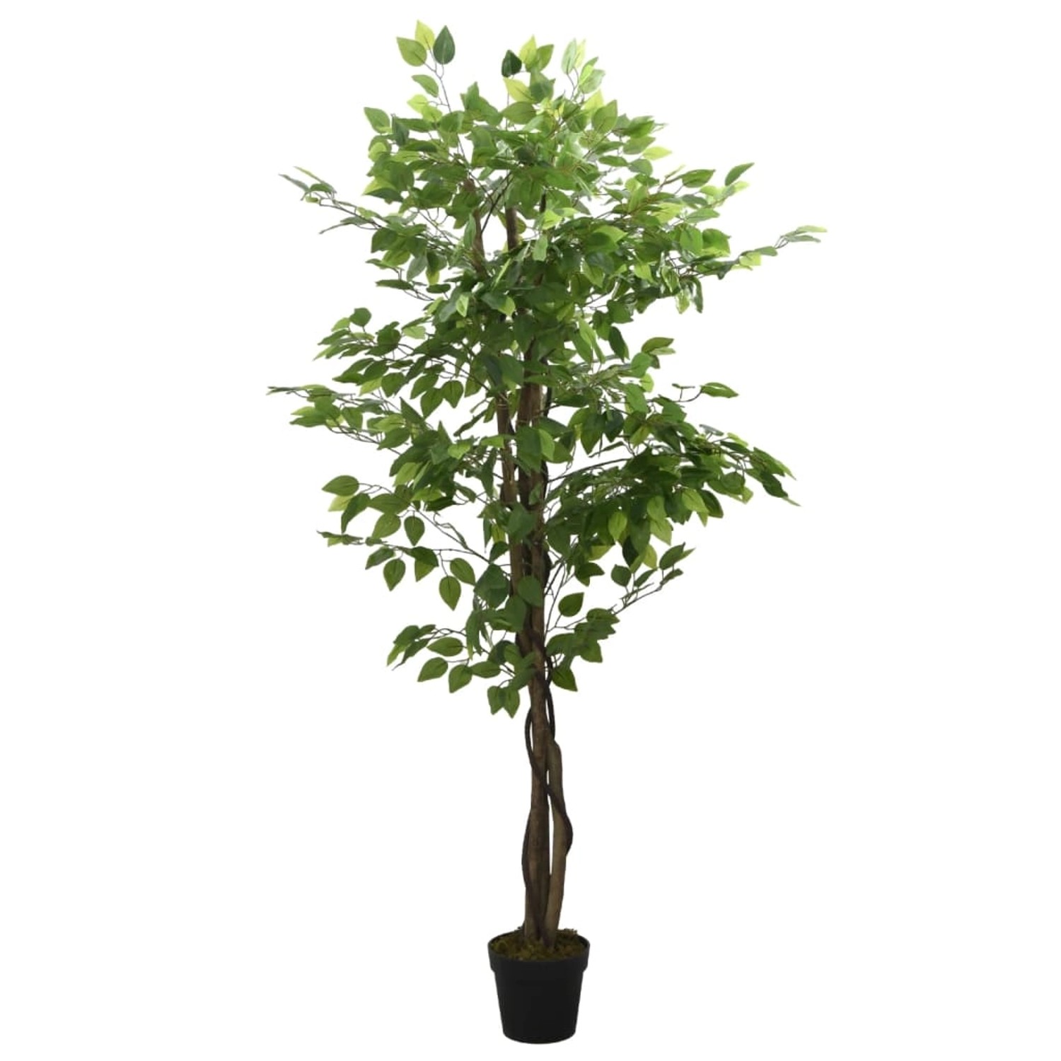vidaXL Ficusbaum Künstlich 378 Blätter 80 cm Grün Modell 1 vidaXL Ficusbaum Künstlich 378 Blätter 80 cm Grün Modell 1 von VIDAXL