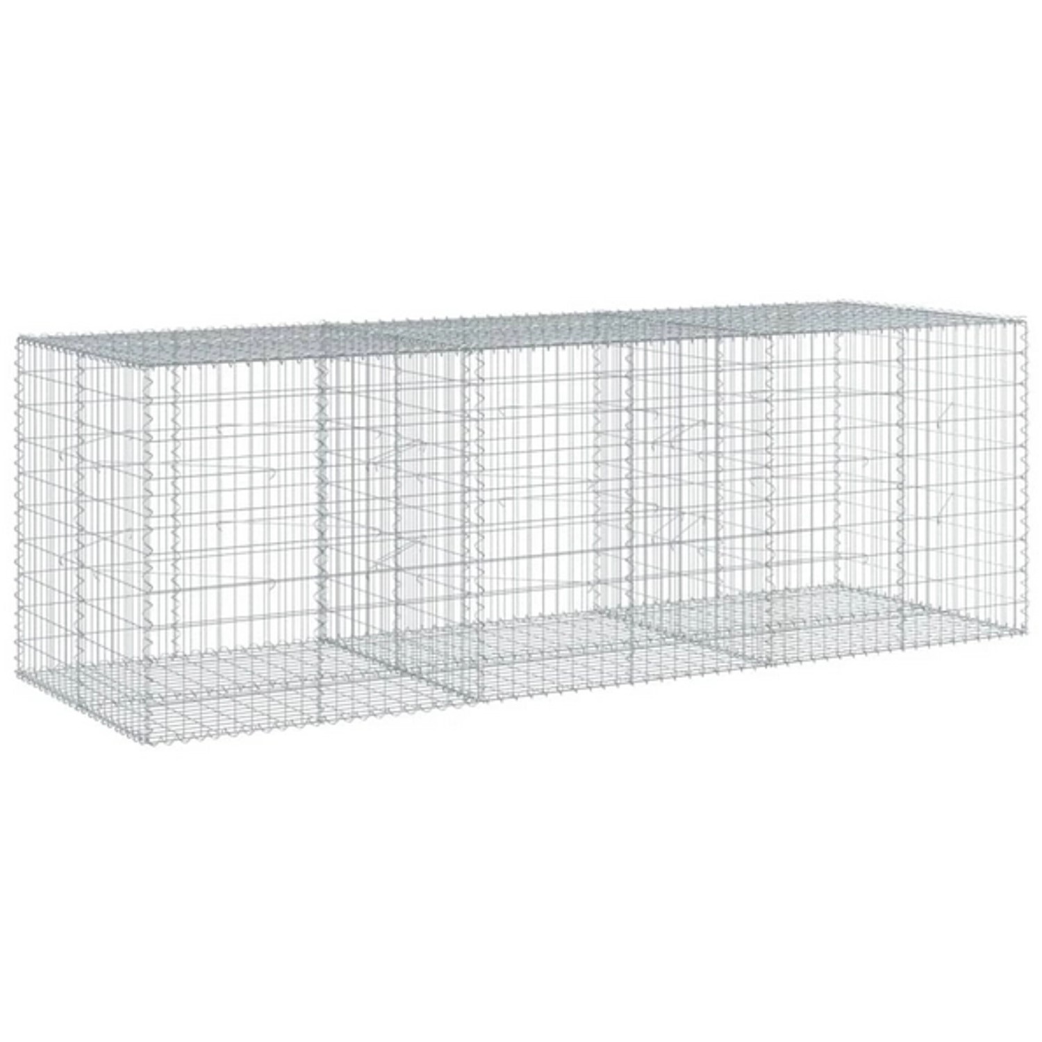 vidaXL Gabione mit Deckel 300x100x100 cm Eisen 2144922 vidaXL Gabione mit Deckel 300x100x100 cm Eisen 2144922 von VIDAXL
