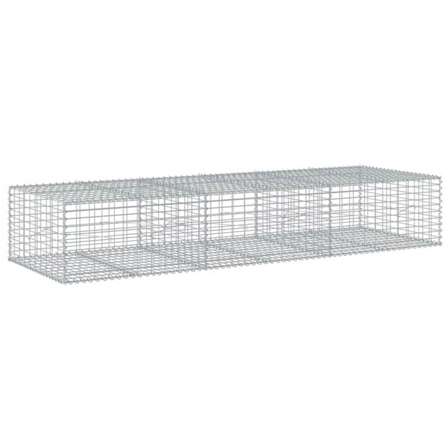 vidaXL Gabione mit Deckel 300x100x50 cm Eisen 2144920 vidaXL Gabione mit Deckel 300x100x50 cm Eisen 2144920 von VIDAXL