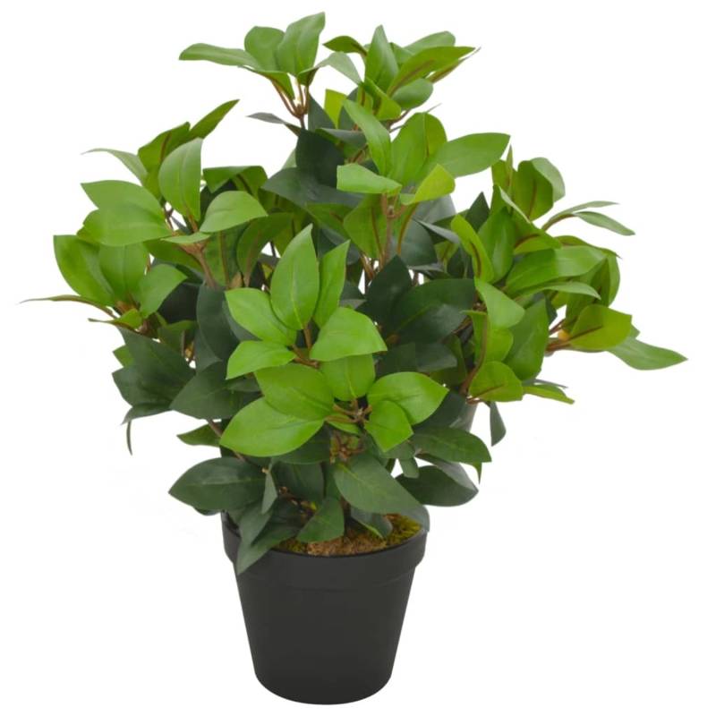 vidaXL Künstliche Pflanze Lorbeerbaum mit Topf Grün 40 cm von VIDAXL