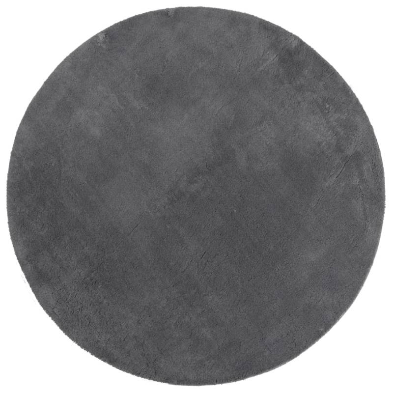 vidaXL Teppich Huarte Kurzflor Weich Und Waschbar Anthrazit  120 Cm 1934915 von VIDAXL
