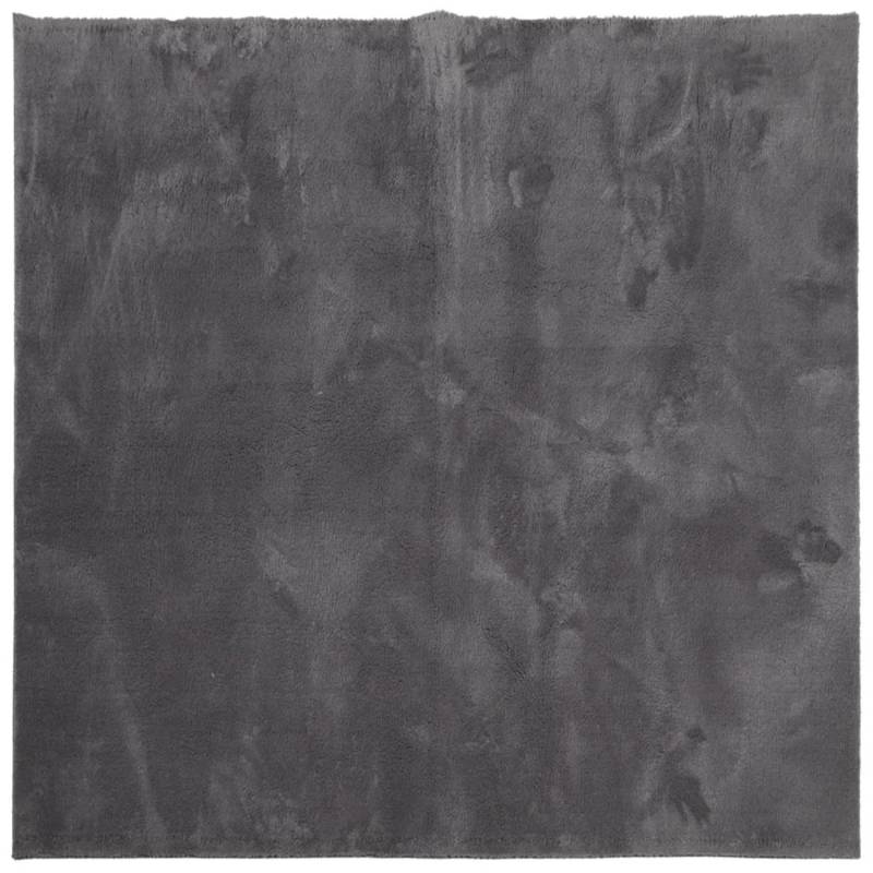 vidaXL Teppich Huarte Kurzflor Weich Und Waschbar Anthrazit 240x240 Cm 1934914 von VIDAXL