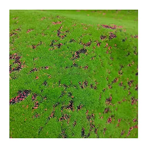 VIFERR Künstliche Moosmatte Moos Kunstrasen Dekorative Grünpflanzen Moosgras 100cm * 100cm Grünpflanze Rasen Miniatur Ornament für Hausgarten Terrasse Dekor Hundetrainingsmatte von VIFERR