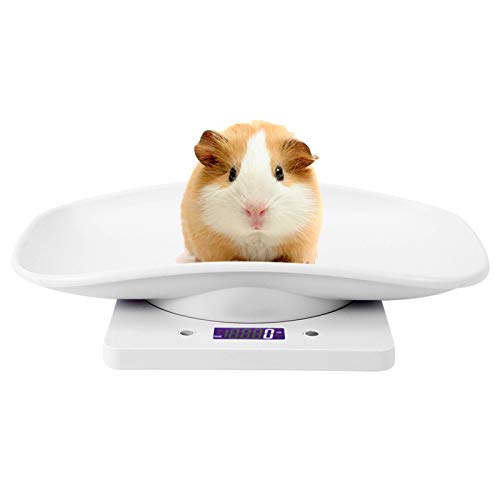 VIFERR Digitale Haustierwaage, Tierwaage Digital Haustier Skala Elektronische Gewichtswaage mit LCD-Display für Katzen, Haustiere, Baby, Küche VIFERR Digitale Haustierwaage, Tierwaage Digital Haustier Skala Elektronische Gewichtswaage mit LCD-Display für Katzen, Haustiere, Baby, Küche von VIFERR