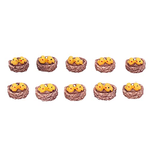 VIFERR Vogel -Nest -Ornament DIY Sukkulente Pflanzen Wohneinrichtung Landschaftsbau Garten 10pcs von VIFERR