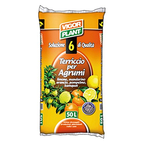 Vigor Plant Blumenerde für Zitrusfrüchte – Limette Mandarine Orange pompelml – 50 Lt von PGONA
