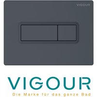 Vigour - tees WC-Betätigungsplatte für 2-Mengenspülung, anthrazit matt von VIGOUR