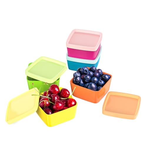 VIKY® 5er-Set Kunststoff Gefrierdosen Klein, Frischhaltedosen mit Deckel, Plastikdosen, Meal Prep Boxen zur Aufbewahrung von Lebensmitteln, Dose, BPA Frei von VIKY
