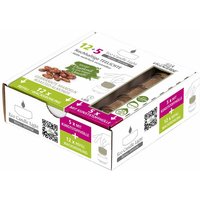 Villa Verde - Duftteelichter ecl refill gebr. Mandeln (5x m.Hülle+ 12x refill) Duftteelichter von VILLA VERDE