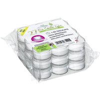Teelichter ecl m. Hülle 27 er Pack Teelichter - Villa Verde von VILLA VERDE