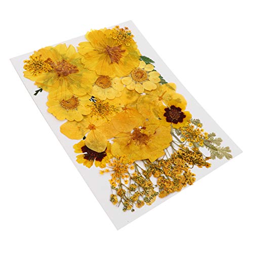 VILLCASE Gepresste Blumen-Set 15-teilig Getrocknete Pflanzen Basteln Für Karten Scrapbook Kunst- von VILLCASE