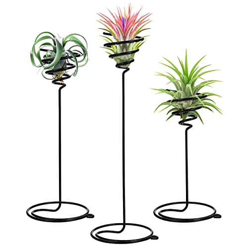 VILLCASE 3 Stück Luftpflanzenhalter, Tillandsia, Metallständer, Airplants, Ausstellungsständer, Airplants, Tillandsien, Tischbehälter, Geschenk für das Büro zu Hause. von VILLCASE