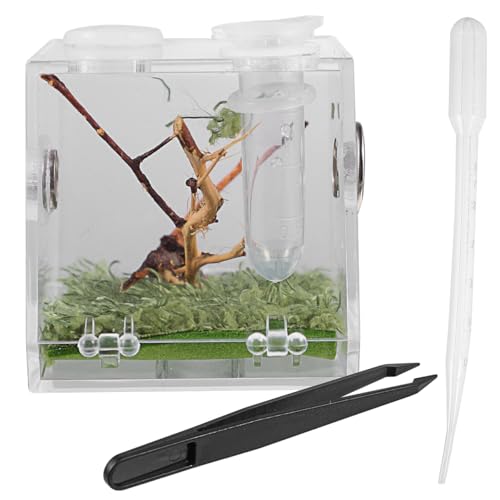 VILLCASE Acryl Reptile Fütterungsbox, Springspinne Terrarium, Transparentes Spinnen Terrarium Mit Pipette & Zange, Platzsparende Insekten Transportbox für Sprungspinnen Und Kleine Haustiere von VILLCASE