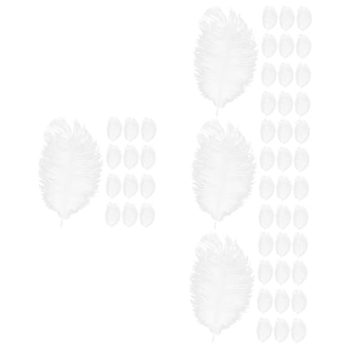 VILLCASE 4 Sätze Ostrich Co Fasan Rot Straußenfedern Gans Hochzeitsfedern Requisiten Pompons Fransenvasen Massenschmuck Partyfedernzubehör Straußenfedern DIY 20 Stück * 4 von VILLCASE