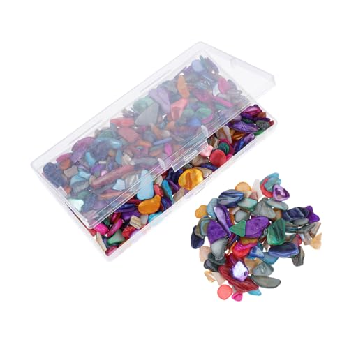 VILLCASE Dekorative Muschelfragmente für DIY Projekte Unregelmäßige Farbenfrohe Muschelsplitter für Vasen Stifthalter Kerzenständer und Mehr Langlebig von VILLCASE