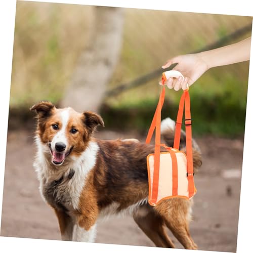 VILLFUL Hundetragegurt für Hunde Verstellbar Atmungsaktiv Unterstützend bei Genesung Rückenschonend Geeignet für Ältere und Verletzte Hunde für Treppensteigen und Mobilitätshilfe von VILLFUL