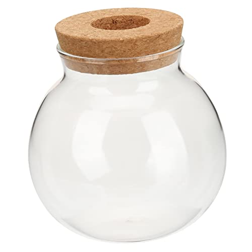 VILLFUL Hydroponische Glasflasche Vermehrungsvase Ausbreitungsstationen Terrarium-kit Monstera-Pflanze Glasvase Desktop Pflanzenterrarium Topfpflanze Holz Wasserbehälter Esstisch von VILLFUL