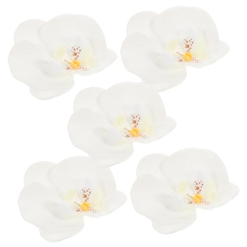VILLFUL 5stücke Künstliche Seiden Phalaenopsis Blumen Köpfe Falsche Schmetterlings Orchideen Köpfe DIY Handwerk Zubehör Requisiten VILLFUL 5stücke Künstliche Seiden Phalaenopsis Blumen Köpfe Falsche Schmetterlings Orchideen Köpfe DIY Handwerk Zubehör Requisiten von VILLFUL
