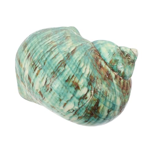 VILLFUL Natürliche Grüne Große Meeresschnecke Muschel Dekoration DIY Bastelset für Aquarium Terrarium Fischbecken Leicht Kompakt Geeignet für Süß Salzwasser Dekorative VILLFUL Natürliche Grüne Große Meeresschnecke Muschel Dekoration DIY Bastelset für Aquarium Terrarium Fischbecken Leicht Kompakt Geeignet für Süß Salzwasser Dekorative von VILLFUL