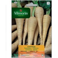 ChirivÐ Samen Guernesey Vilmorin 7g von VILMORIN