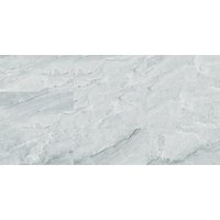 VILO Wandverkleidung »VILO SPC«, BxL:  300 x 600 mm, grau von VILO