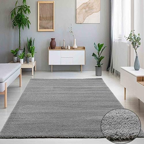 VIMODA Teppich Wohnzimmer in Hell-Grau Flauschig Microfaser Dicht gewebt-Weich, Maße:60x110 cm von VIMODA