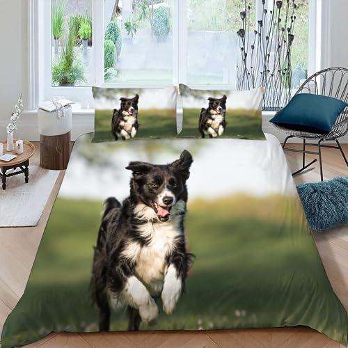 VIMOOR Bettwäsche 135x200 Border Collie 3D Bettwäsche Set 3teilig für Kinder Jungen Mädchen Hund, Tier 100% Mikrofaser Weich Teenager Bettbezug mit Reißverschluss und 2 Kissenbezüge 80x80 Winter von VIMOOR