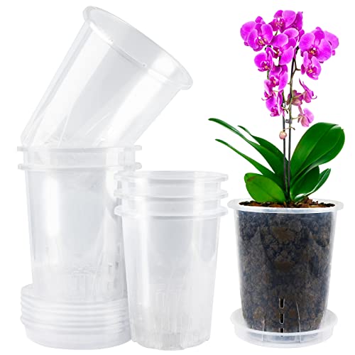 VINFUTUR 6 Stücke Transparente Orchideentöpfe mit Löchern 2 Größe Orchidee Pflanztöpfe mit Untersetzer für Orchidee Sämlinge Sukkulenten Topfpflanzen von VINFUTUR
