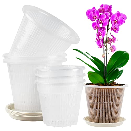 VINFUTUR 6 Stücke Transparente Orchideentöpfe mit Löchern 2 Größe Orchidee Pflanztöpfe mit Untersetzer für Orchidee Sämlinge Sukkulenten Topfpflanzen von VINFUTUR