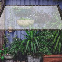 2x4m Plane Transparente Wasserdichte Plane mit Ösen, Faltbar Vordächer und Planen, Wetterfeste Pflanzendach für Gartenmöbel Pflanzen Gewächshaus Pet von VINGO
